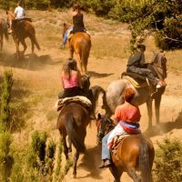 Galería Cabalgatas 2