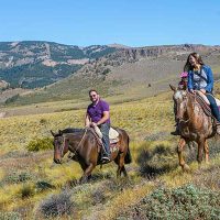 Galería Cabalgatas 3