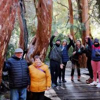 Galería Circuito Chico 0