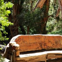 Galería Circuito Chico 16