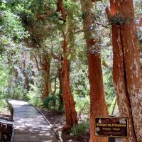 Galería Circuito Chico 17