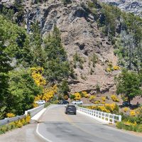 Galería Circuito Chico 20