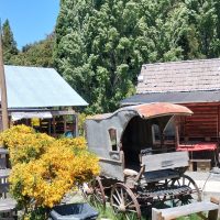 Galería Circuito Chico 23