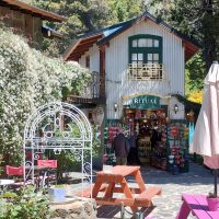 Galería Circuito Chico 26