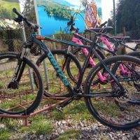 Galería Circuito Chico Adventure 1