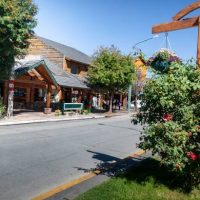 Galería Villa La Angostura 0